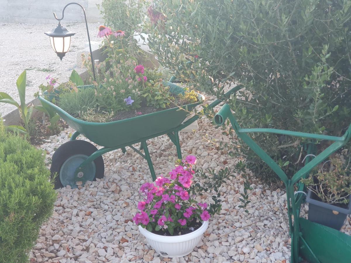 Apartman Mare Šibenik Eksteriør bilde
